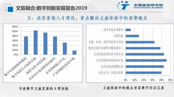 文旅融合 數(shù)字創(chuàng)新發(fā)展報告2019 數(shù)字文化創(chuàng)意內(nèi)容應(yīng)用服務(wù)的新圖景